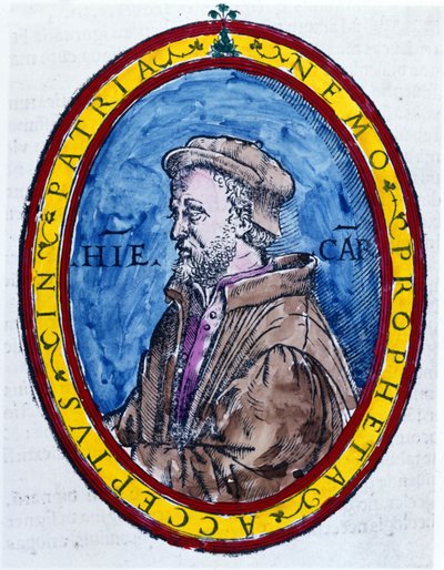 (Cardanus Hieronymus) Jerome Cardan på italiensk Gerolamo Cardano, italiensk lege, matematiker, filosof og astrolog (Pavia av Unknown artist