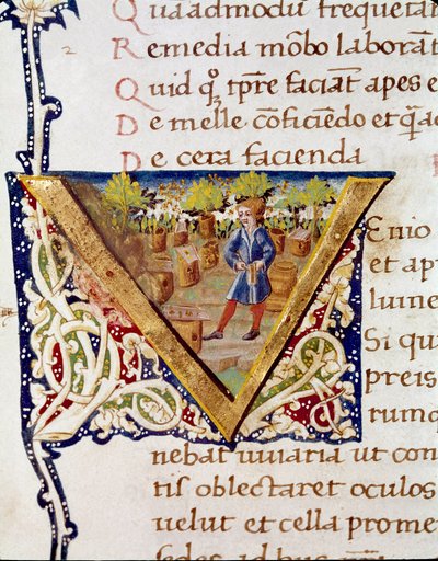 En birøkter og bikubene hans (miniatyr av Unknown artist