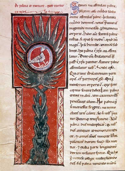 En due som bygger rede i et palmetre (miniatyr av Unknown artist