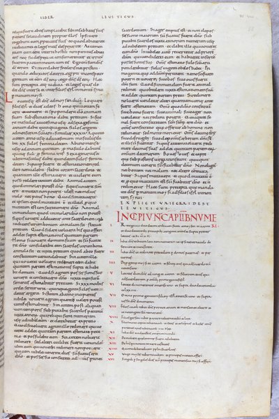 En side fra Bibelen fra det 11. århundre med det første kapittelet i Numbers Book av Unknown artist