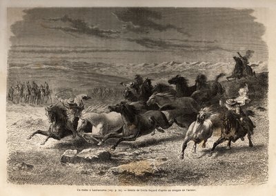 En rodeo i Lauramarca (Nedre Peru), fangst av ville hester, før deres jernmerking med initialene til eieren av regionen, ansett som et komplett skue, samlet mange badauds seg. Gravering for å illustrere seilasen i Quinquindalen av Unknown artist