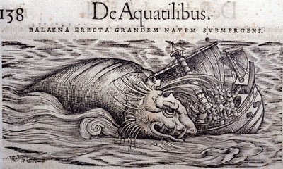 En hval ødelegger en båts skrog og forårsaker at den synker. Gravering n Historia Animalium av Conrad Gesner (1516 - 1565), Tiguri av Unknown artist