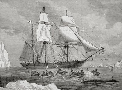 En hvalfanger med båt raskt til en "fisk" (med våpenharpunen) av Unknown artist