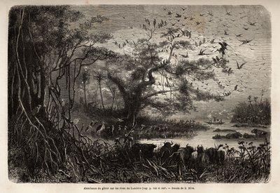 Overflod av vilt på bredden av Zambese. Gravering for å illustrere Dr. Livingstones første reiser til Sør-Afrika fra 1840 til 1856, i «Le tour du monde, nouveau journal des voyages»» publisert under ledelse av Edouard Charton av Unknown artist