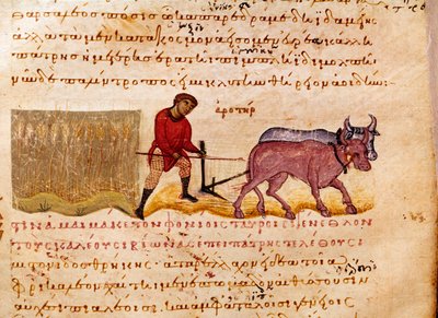 Landbruk: pløyescene. Miniatyr fra jakthandelen "" The Cynegetics "" av Oppian (Oppian eller Oppianus) fra Syria (3. århundre e.Kr.) dedikert til Caracalla. Venezia fra 1000-tallet. Biblioteca Marciana av Unknown artist