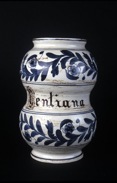 Albarelle: tidligere apotekvase fra 1500-tallet som inneholder gentian. Museum for vitenskap og teknologi, Milano. av Unknown artist