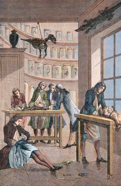 Albrecht von Haller (Albert de Haller) (1708-1777) in his laboratory Bern in Switzerland - Laboratory of the Swiss physician Albrecht von Haller (1708-1777) in Bern av Unknown artist