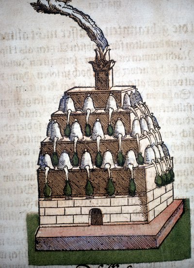 Alchemy: the Athanor Four fra en bok av Pietro Andrea Mattioli (Matthiole) (1500-1577). Frankfurt av Unknown artist