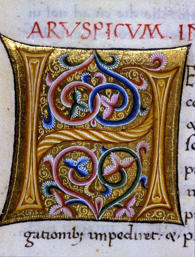 Alfabet: miniatyr bokstav H av Unknown artist