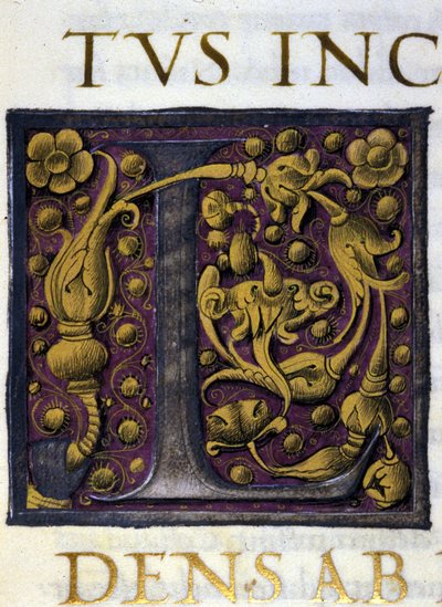 Alfabet: liten bokstav L av Unknown artist