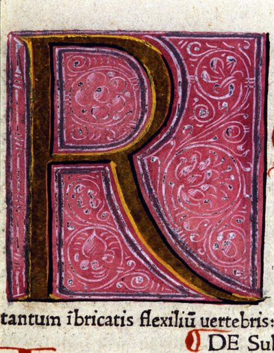 Alfabet: miniatyr bokstav R av Unknown artist
