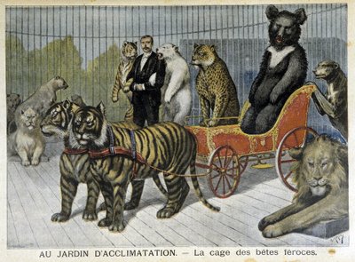 I akklimatiseringens hage: buret til grusomme dyr - i "" Le Petite Journal"" av 02.06.1895 av Unknown artist