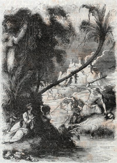 Slaget ved Griffon og Aquilant mot Orrile - gravering av 1851 fra "" Furious Roland"" (Orlando furioso) (1500-tallet) av Ludovico Ariosto, kjent som Ariosta - utgave oversatt fra italiensk av greven av Tressan og utgitt av Gustave Harvard av Unknown artist