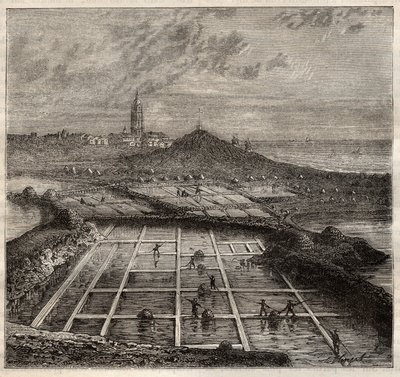 Batz sur Mer, Bretagne, Frankrike - Saltproduksjon. Utsikt over en saltmyr i det vestlige Frankrike - gravering i 