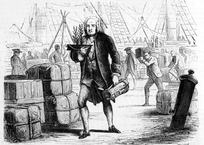 Bernard de JUSSIEU (1699-1777), fransk botaniker og naturforsker, rapporterer sedertre fra LIBANON. Gravering 1856 av Unknown artist