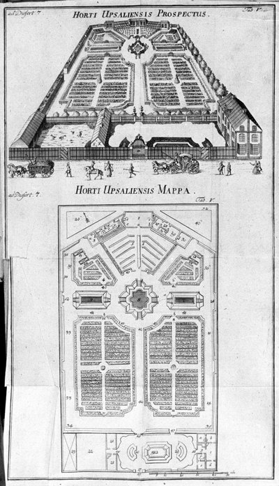 Botanisk hage - HORTI UPSALIENSIS prospektiv og plan. av Unknown artist