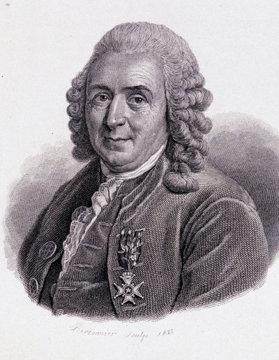 Carl Von Linné svensk naturforsker og forfatter (1707 - 1778) - i "Portrett av nyttige menn"" av Unknown artist
