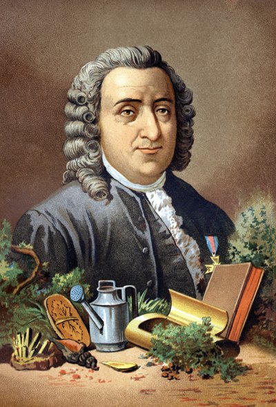 Carl Von Linné svensk naturforsker og forfatter (1707 - 1778) etter "Vitenskapen og dess menn" av Louis Figuier. Barcelona 1881 av Unknown artist