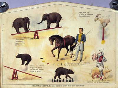 Sirkus: et brett som representerer forskjellige typer show av lærde dyr med elefanter, en geit, en bjørn, hester og en gris. Illustrasjon av 1800-tallet av Unknown artist