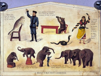 Sirkus: en tavle som representerer forskjellige typer show av lærde dyr med seler, elefanter, bjørner, slanger. Illustrasjon av 1800-tallet av Unknown artist