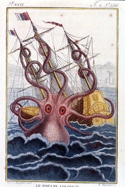 Kolossal blekksprut (blekksprut, gigantisk blekksprut, kraken) angriper et skip (skip, skip) - gravering av boken av Pierre Denys-Montfort (Denys de Montfort 1766-1820) "" Histoire naturelle des mollusques", originalutgave av 1802) - av Unknown artist