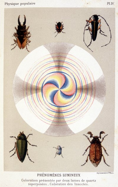 Fargelegging presentert av to overlagrede kvartsblader, fargelegging av insekter - i "" La physique populaire"" av Emile Desbeaux av Unknown artist
