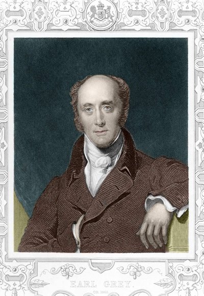 Count Henry George Grey (1812 - 1898) in 1845. av Unknown artist