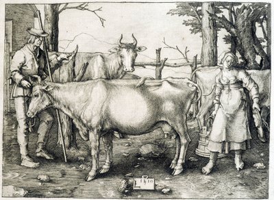 Cowl og meieri i Holland av Unknown artist