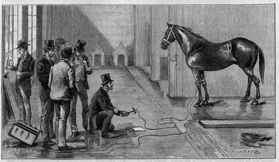 Death by Electricite: en hest dreper av elektrisitet under et eksperiment utført ved Laboratory of Edison, Orange (USA). Gravering i "" La Nature: revue des sciences et de leurs applications aux arts et a l