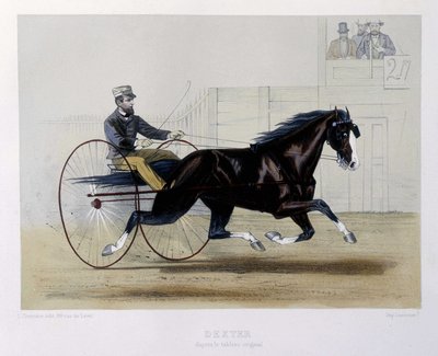 Dexter trotteur - i "" Kentauren"" av Unknown artist