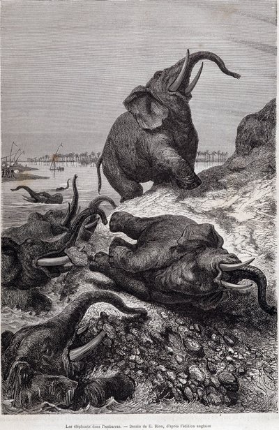 Elefanter som klatrer på bredden av en elv, på grunn av en ekspedisjon til Sentral-Afrika på oppdrag av Sir Samuel White Baker, "Tour du monde" av Unknown artist