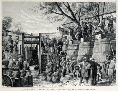 Gravering fra 1876 som representerer vindyrking i California på 1800-tallet. av Unknown artist