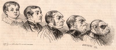 Evolusjon av et barn til voksen alder og degenerasjon av den voksne til å være et beist av Unknown