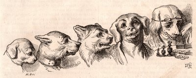 Evolusjon av en hund til en menneskelig form av Unknown