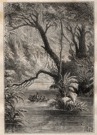 Ekspedisjon til Amerika (1799-1804) av Alexander von Humboldt (1769-1859) og Aime Bonpland (1773-1858): oppdagelsesreisende går ned til Orenoque, omgitt av de gigantiske trærne i Amazonasskogen (Cano Pimichin, Venezuela) - illustrasjon tatt fra «The Great av Unknown artist
