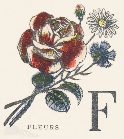 F: blomster av Unknown artist
