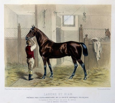 Kjente veddeløpshester i "" The Centaur "" 1866 av Unknown artist