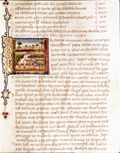 Bønder som planter vingårder (miniatyr av Unknown artist