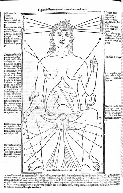 Kvinnelig reproduksjonsapparat - i Treatise of Medicine av Gerolamo Cardano (Cardano) (Cardanus Hieronymus), Firenze 1585. av Unknown artist