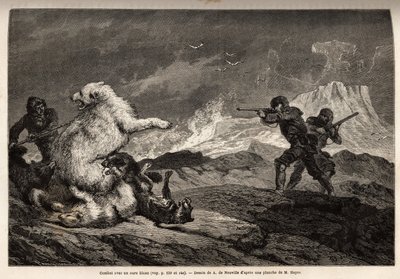 Slåss med en isbjørn som beskytter babyen hennes, flokken med hunder angriper henne og jegerne, riflevåpen, venter på riktig tidspunkt for å skyte henne. Gravering for å illustrere reisen til det frie havet på den arktiske polen, av doktor Hayes, kirurg i  av Unknown artist