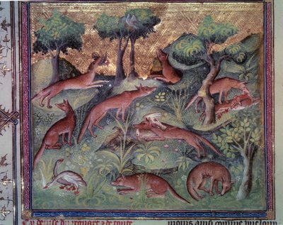 Revejakt fjærfe. Miniatyr fra manuskriptet "" Le livre de la chasse"" (folio 34v) av Gaston Phoebus (1331-1391) av Gaston III Comte De Foix av Unknown artist