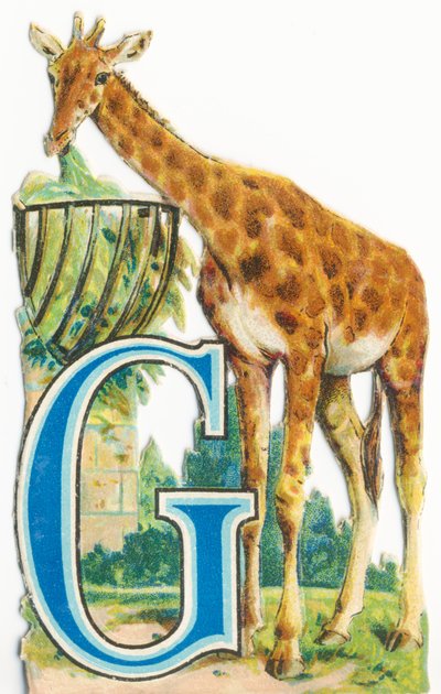 G: Giraffe av Unknown artist