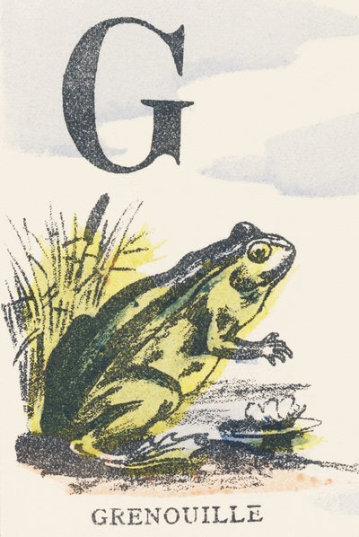 G: frosk av Unknown artist