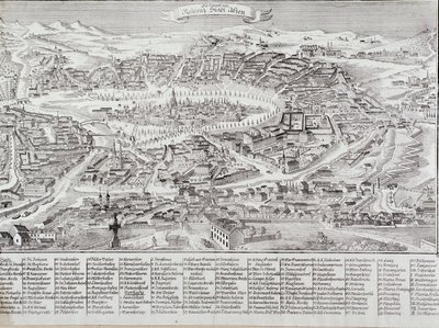 Generell utsikt over byen Wien med detaljer om hovedbygningene og monumentene. Østerrike Gravering fra 1800 privatsamling av Unknown artist