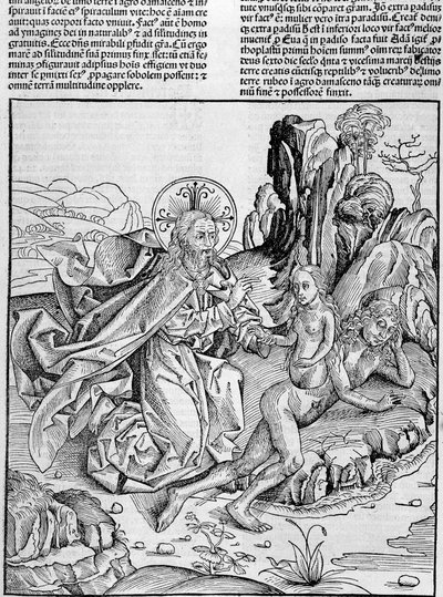 Gud føder Eva fra Adams lår - i "" Nuremberg Chronicles"" av Unknown artist