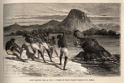 Flodhest på jakt med Houarti-stammen, med harpuner og spyd, de rasende dyrene laster og gjør motstand. Gravering for å illustrere utforskningen av de abessiniske sideelvene til Nilen, av Sir Samuel W. Baker, i 1861-62, publisert i "" Le tour du m av Unknown artist