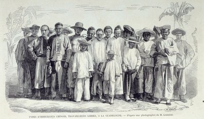 Historien om de franske koloniene: Kinesiske immigranter som jobber i Guadeloupe. Tegning etter fotografi av Chartres musee des Beaux Arts på slutten av 1800-tallet av Unknown artist