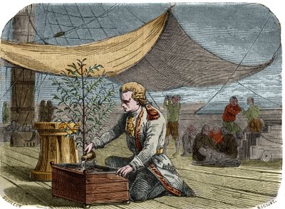 History of the cafe: Captain Gabriel de Clieu (Declieux, Desclieux) (1687/1678- circa 1774), commissioned by King Louis XIV in 1725 to bring back to Martinique a coffee plant (coffee maker), shares with him his ration of water to save him from drying. Engr av Unknown artist