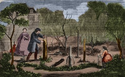 Hagebruk: hovedmetoder for plantetransplantasjon. 1860 gravering. av Unknown artist