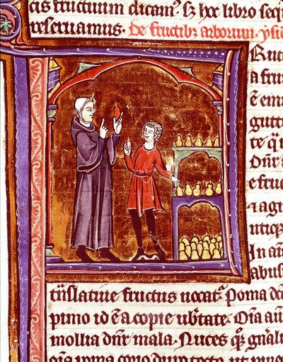 Hvordan lagre pærer Miniatyr fra manuskriptet "Speculum historiale"" (Le Mirror historial) av Vincent de Beauvais (1184/94-1264) Laon fra 1200-tallet, kommunalt bibliotek av Unknown artist